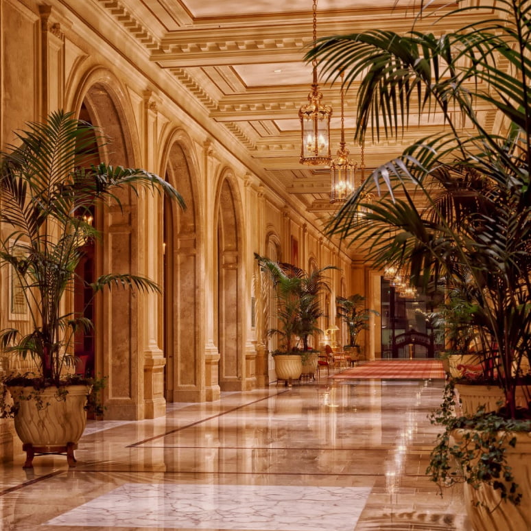 A palatial hotel lobby with marble floors and palms